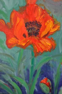 These are poppies that were blooming at the Canadian National Institute for the Blind.