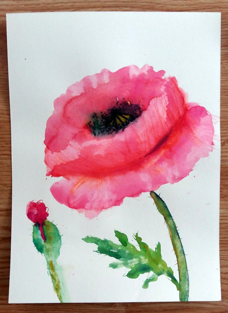 big pink poppy