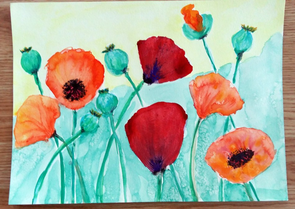 red and orange poppies
